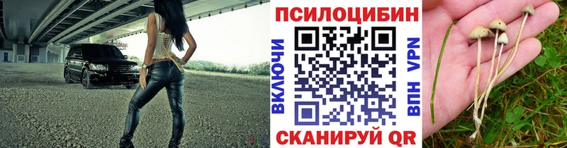 Псилоцибиновые грибы Cubensis Купить где Белореченск