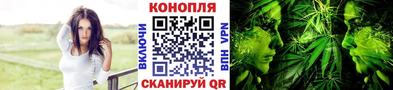 Купить где  Белореченск  МАРИХУАНА план 